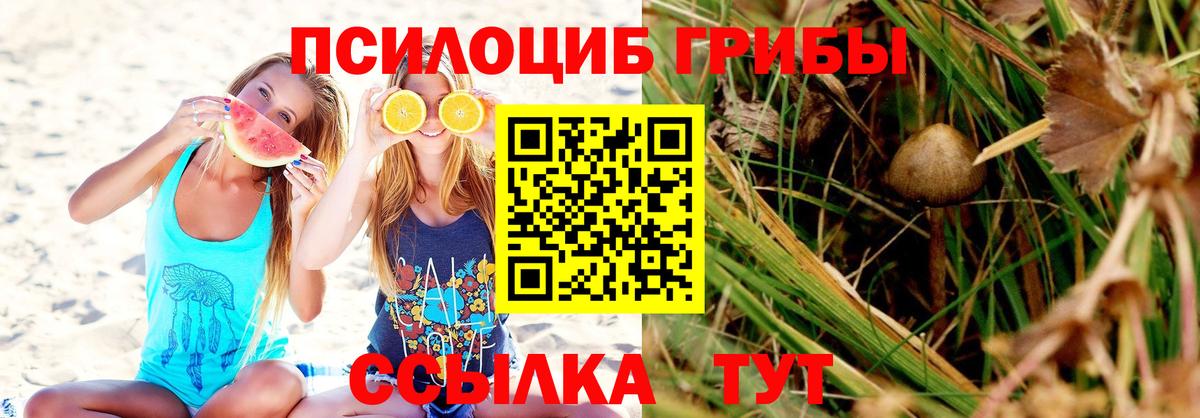 Псилоцибиновые грибы мицелий  Вход с VPN  Галлюциногенные грибы Psilocybe  Красноуфимск 