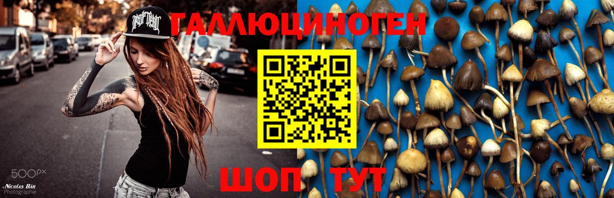 Галлюциногенные грибы прущие грибы Красноуфимск